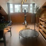 Ardennest 布永