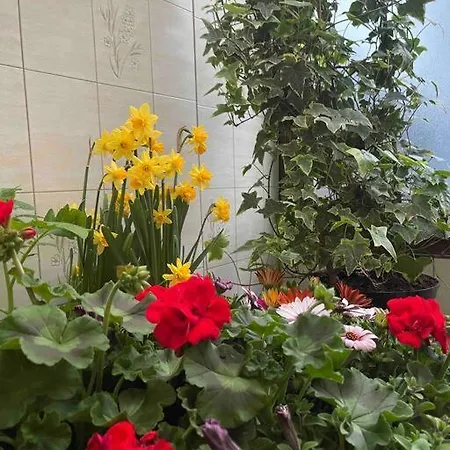 Ardennest Σπίτι διακοπών *