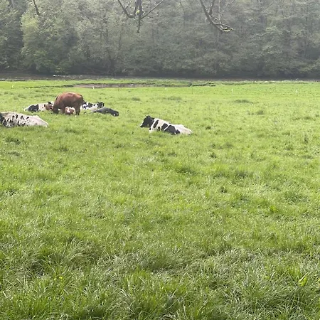 Σπίτι διακοπών Ardennest *